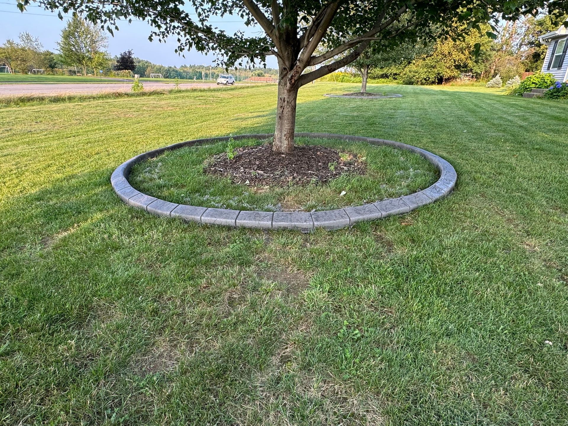 A circular concrete curb defines a landscaped tree bed in a green lawn